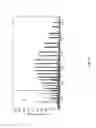 Fig. 07 - COMPOSITIONS FOR USE IN IDENTIFICATION OF CALICIVIRUSES