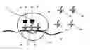 Fig. 01 - Systems and methods for measuring translation of target proteins in cells