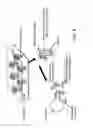Fig. 08 - DETERMINATION OF FETAL ANEUPLOIDY BY QUANTIFICATION OF GENOMIC DNA FROM MIXED SAMPLES