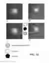 Fig. 14 - DETERMINATION OF FETAL ANEUPLOIDY BY QUANTIFICATION OF GENOMIC DNA FROM MIXED SAMPLES