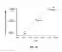 Fig. 26 - DETERMINATION OF FETAL ANEUPLOIDY BY QUANTIFICATION OF GENOMIC DNA FROM MIXED SAMPLES