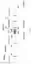 Fig. 04 - DETECTION AND QUANTITATION OF INSULIN RECEPTOR ALPHA ISOFORM OR BETA ISOFORM