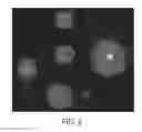 Fig. 03 - Method and compositions for detection and enumeration of genetic variations