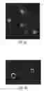 Fig. 07 - Method and compositions for detection and enumeration of genetic variations