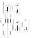 Fig. 03 - DNA capable of inducing osteoblast-specific expression