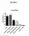 Fig. 04 - METHODS OF ASSESSING ACTIVITY OF A POLYSACCHARIDE COMPOSITION