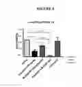 Fig. 05 - METHODS OF ASSESSING ACTIVITY OF A POLYSACCHARIDE COMPOSITION