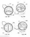 Fig. 21 - Sample plate systems and methods