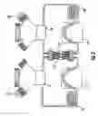 Fig. 05 - Co-culture bioreactor system