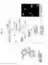 Fig. 03 - INTEIN-BASED FLUORESCENT BIO-CIRCUIT FOR VITAMIN D DETECTION