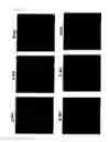 Fig. 06 - Method for culture of hepatocytes