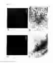 Fig. 08 - Method for culture of hepatocytes