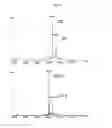 Fig. 06 - Methods and compositions for making antibodies and antibody derivatives with reduced core fucosylation