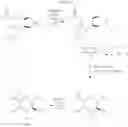 Fig. 13 - Methods and compositions for making antibodies and antibody derivatives with reduced core fucosylation