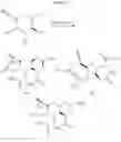 Fig. 14 - Methods and compositions for making antibodies and antibody derivatives with reduced core fucosylation