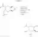 Fig. 20 - Methods and compositions for making antibodies and antibody derivatives with reduced core fucosylation