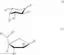 Fig. 34 - Methods and compositions for making antibodies and antibody derivatives with reduced core fucosylation