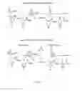 Fig. 07 - Reductase Enzymes