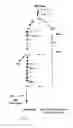 Fig. 05 - ENGINEERED MICROORGANISMS WITH ENHANCED FERMENTATION ACTIVITY