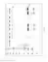 Fig. 12 - ENGINEERED MICROORGANISMS WITH ENHANCED FERMENTATION ACTIVITY