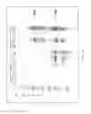 Fig. 13 - ENGINEERED MICROORGANISMS WITH ENHANCED FERMENTATION ACTIVITY