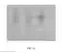 Fig. 23 - ENGINEERED MICROORGANISMS WITH ENHANCED FERMENTATION ACTIVITY