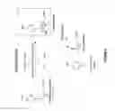 Fig. 10 - Cytochrome P450 oxygenases