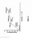 Fig. 13 - Cytochrome P450 oxygenases