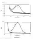 Fig. 28 - Cytochrome P450 oxygenases