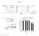 Fig. 04 - Stable plasmid expression vector for bacteria