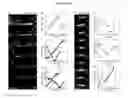 Fig. 06 - Stable plasmid expression vector for bacteria
