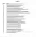 Fig. 10 - Stable plasmid expression vector for bacteria