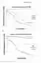Fig. 11 - Stable plasmid expression vector for bacteria