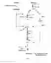 Fig. 06 - ENGINEERED MICROORGANISMS WITH ENHANCED FERMENTATION ACTIVITY