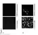 Fig. 07 - Polymer coating comprising 2-methoxyethyl acrylate units synthesized by surface-initiated atom transfer radical polymerization