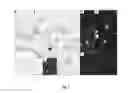 Fig. 04 - Method of in vitro differentiation of neural stem cells, motor neurons and dopamine neurons from primate embryonic stem cells