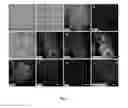 Fig. 10 - Method of in vitro differentiation of neural stem cells, motor neurons and dopamine neurons from primate embryonic stem cells