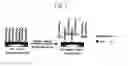 Fig. 02 - Method and device for detection of heavy metal ions in water
