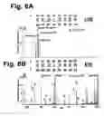 Fig. 16 - Electron transfer dissociation for biopolymer sequence analysis