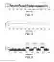 Fig. 04 - METHOD FOR CHARACTERIZATION OF BIOLOGICAL BONDS