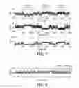 Fig. 05 - METHOD FOR CHARACTERIZATION OF BIOLOGICAL BONDS
