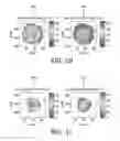 Fig. 07 - METHOD FOR CHARACTERIZATION OF BIOLOGICAL BONDS