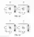 Fig. 08 - METHOD FOR CHARACTERIZATION OF BIOLOGICAL BONDS