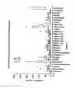 Fig. 03 - Multiplex screening for lysosomal storage disorders (LSDS)