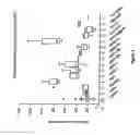 Fig. 05 - Multiplex screening for lysosomal storage disorders (LSDS)