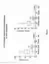 Fig. 07 - Multiplex screening for lysosomal storage disorders (LSDS)