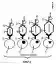 Fig. 16 - Multiplex screening for lysosomal storage disorders (LSDS)
