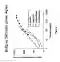Fig. 17 - Multiplex screening for lysosomal storage disorders (LSDS)
