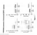 Fig. 18 - Multiplex screening for lysosomal storage disorders (LSDS)