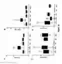 Fig. 20 - Multiplex screening for lysosomal storage disorders (LSDS)